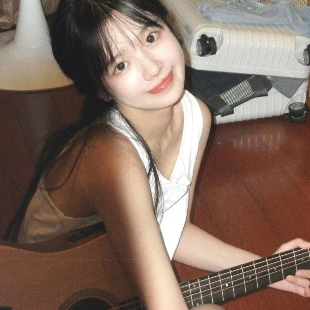 木材宝藏狗