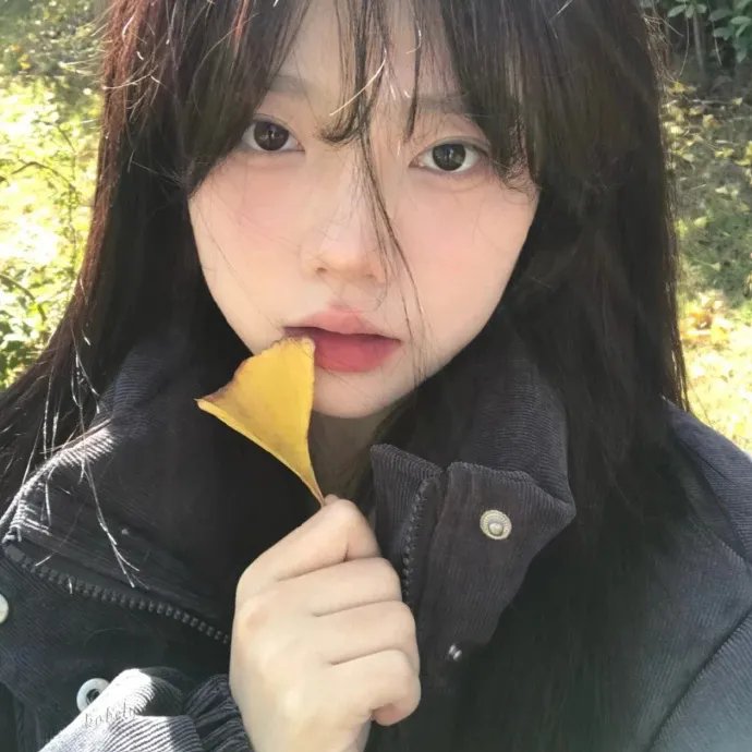 洪福齐天国语