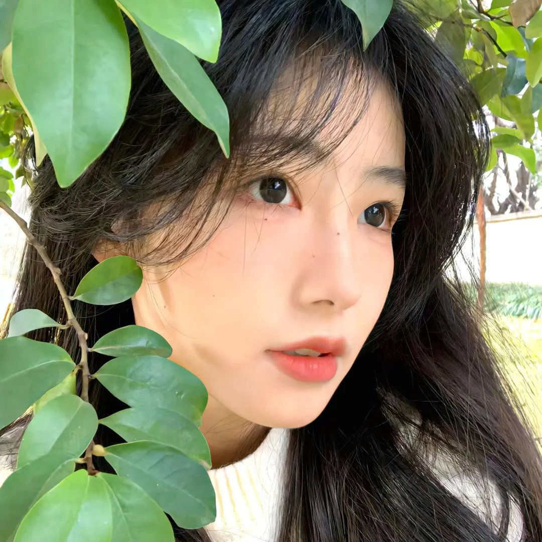 钟楼爱人